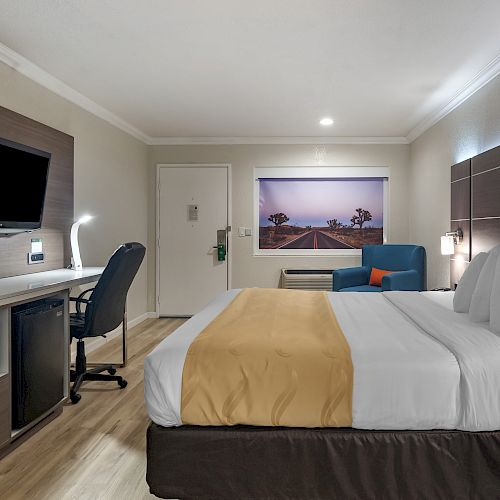 A hotel room with a bed, TV, desk, chair, mini-fridge, and a wall-mounted picture. The room includes modern furnishings and wooden flooring.